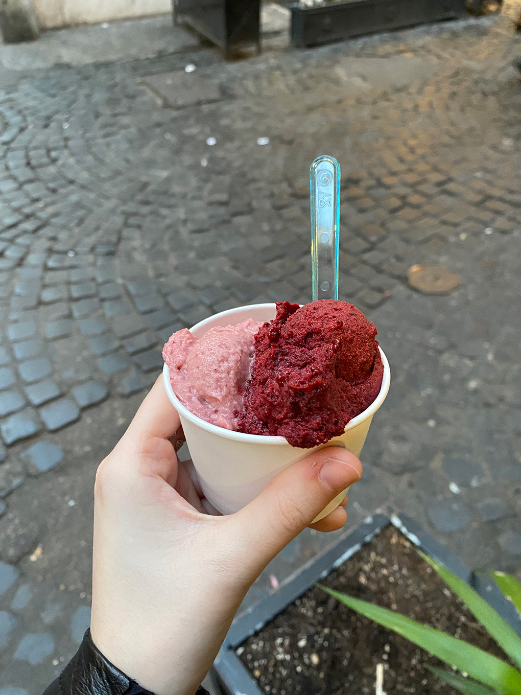 Strawberry and Raspberry Gelato from Italy (Dairy-Free, Egg-Free, Nut-Free)
