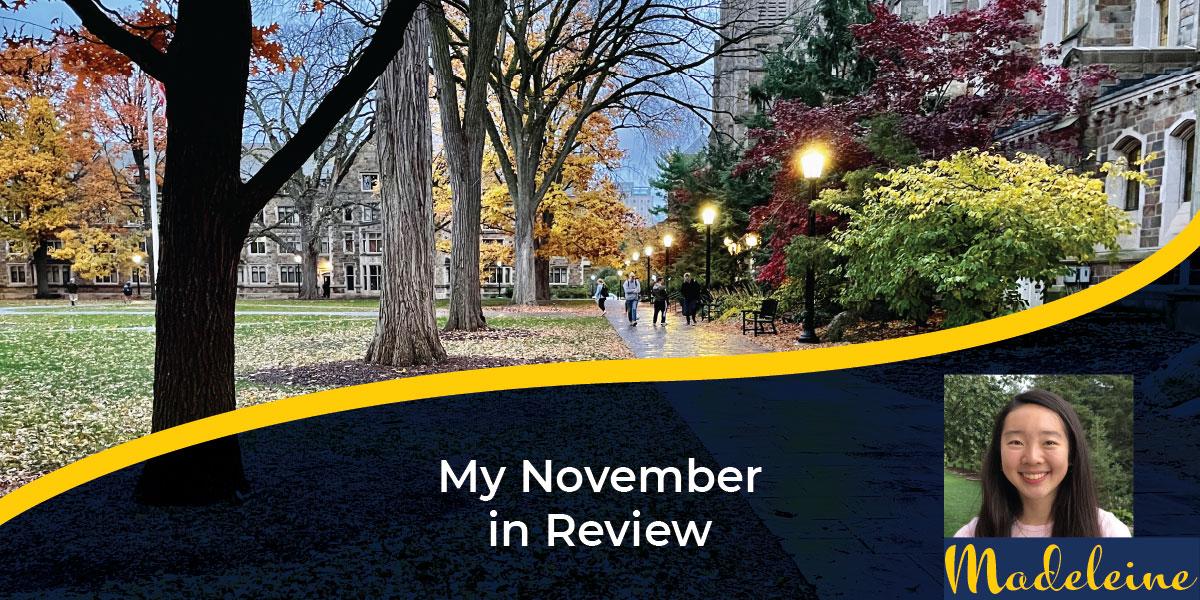 Blog post - My November in Review