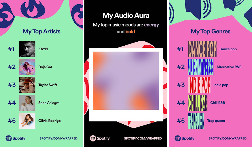 Highlights from my Spotify Wrapped, strategically selected to avoid sharing my top songs.