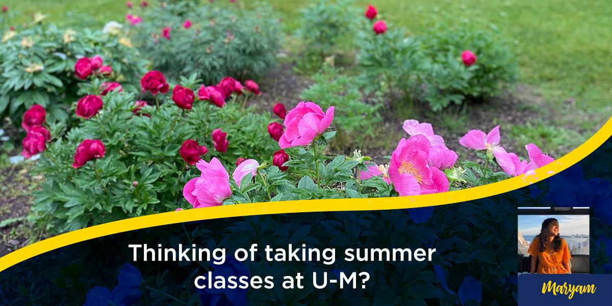 Thinking of taking summer classes at UM? Here’s what you need to know