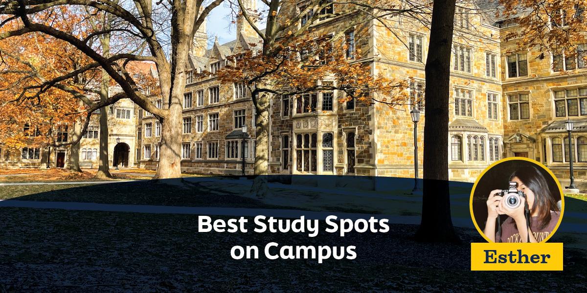Best Study Spots on Campus