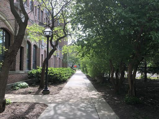 sidewalk surrounded by trees and a building