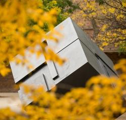 The Cube sculpture surrounded by yellow fall leaves