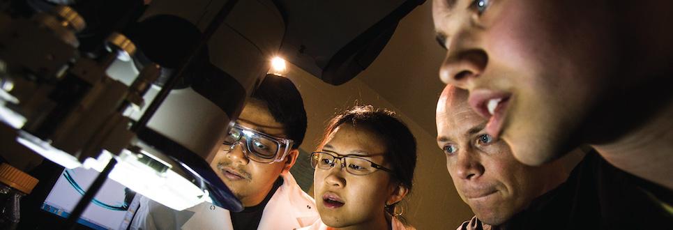 Group of students working in a lab