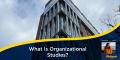 What Is Organizational Studies? Blog post by Maryam.